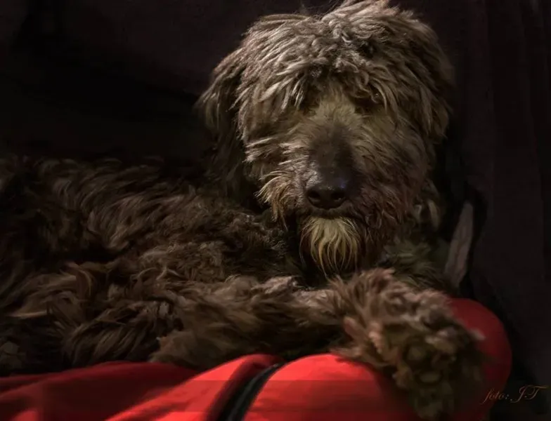 12994506 10206099969433942 5311417442450331438 n