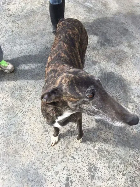 12998199 1009501312467057 128612073273386303 o