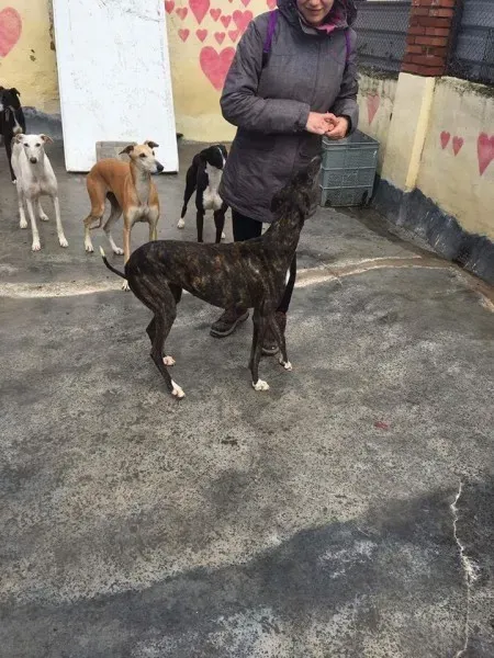 12998377 1009501295800392 8820546105560536767 o