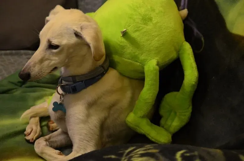 12998503 10207191199833287 106208459783461078 n