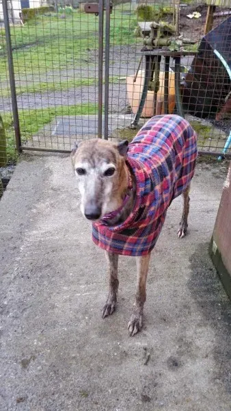 12998534 1026225460802390 7181372940127417790 n