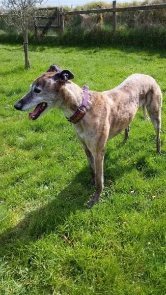 12998642 1026225554135714 5458745681788867906 n