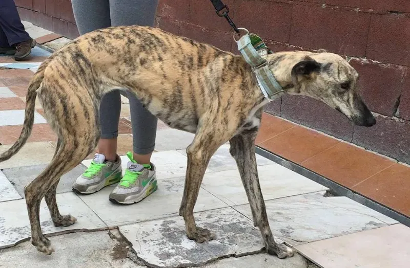 12998649 1009121832505005 6031956713593703158 n