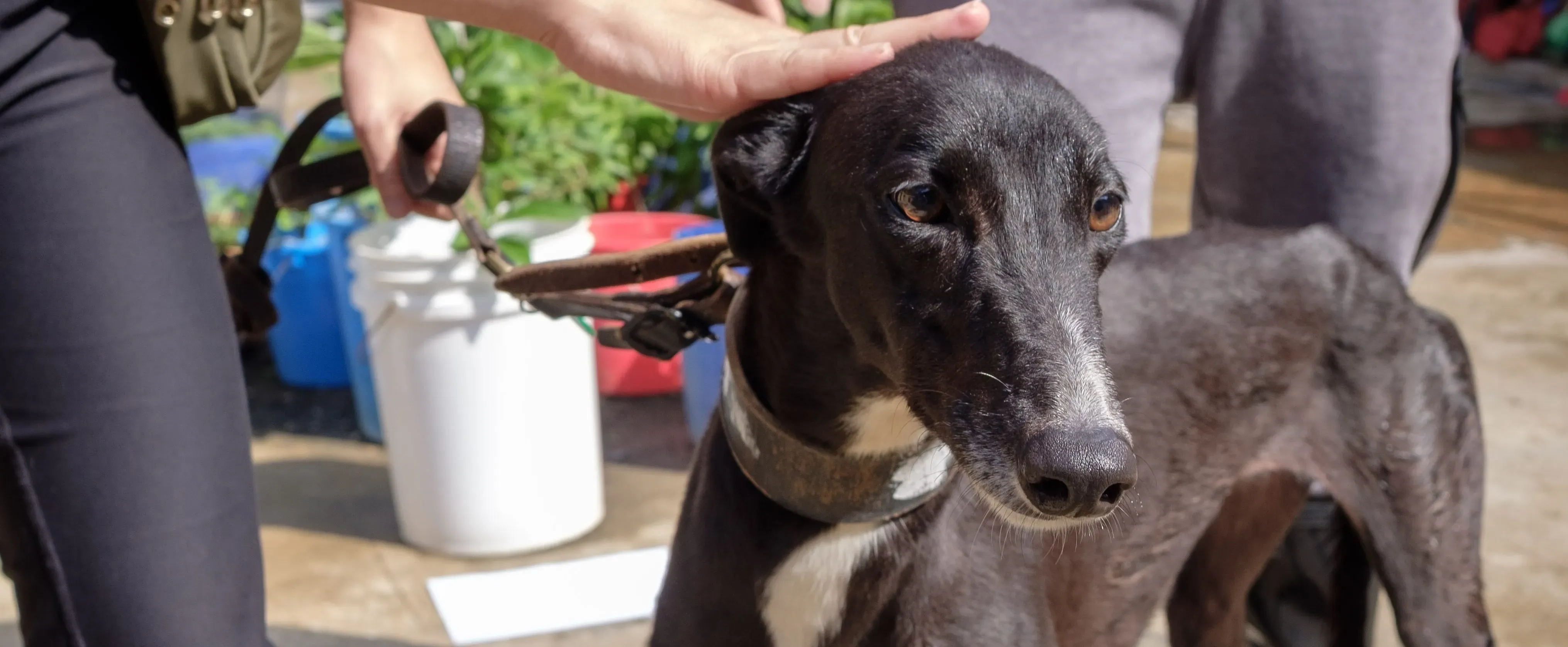 13 DSCF3598 e1544809387502