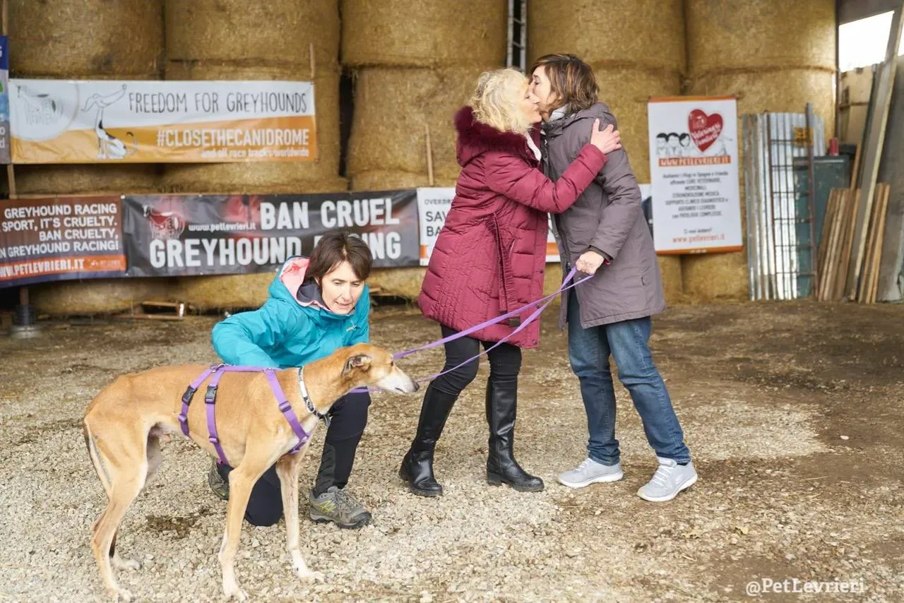 13 imperio pet levrieri onlus