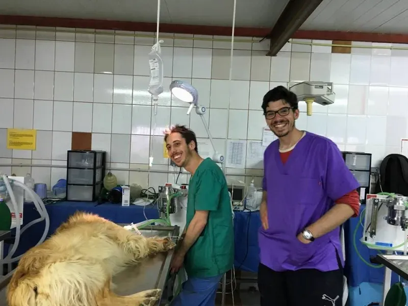 13000209 1007981439285711 8614796025187631234 n