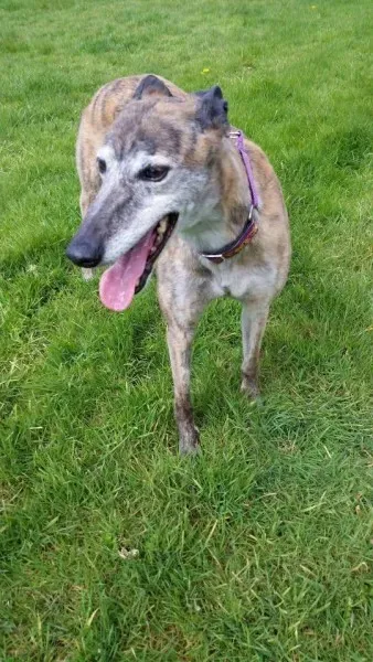 13001037 1026225530802383 23786986514420916 n