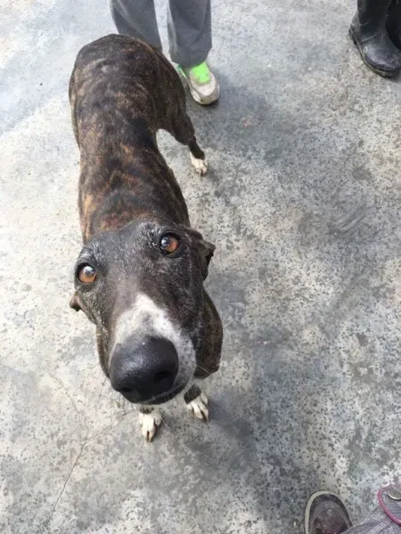 13002485 1009502082466980 1467529305882758555 o