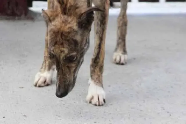 13010686 1016143455136176 3760589694763151828 n