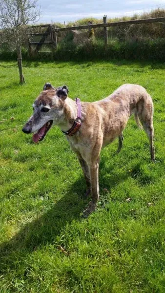 13010691 1026225464135723 4108986862939013582 n