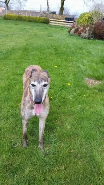 13010745 1026225550802381 5472900466541891333 n