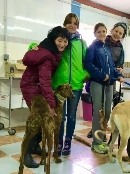 13014921 1026129040812032 1469697861 n