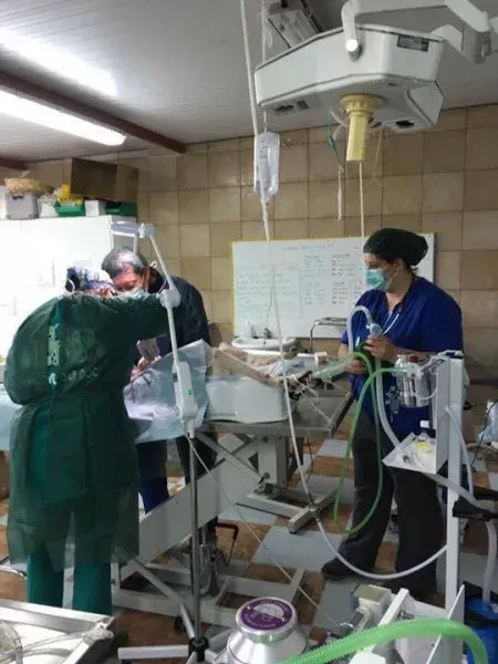 13014939 1026128894145380 279285707 n