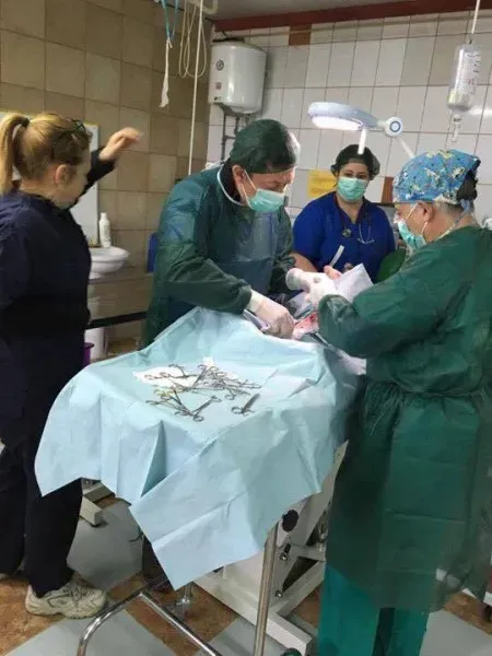 13015029 1026128954145374 1096737264 n