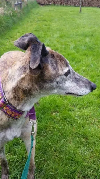 13015416 1026225620802374 471180155665530863 n