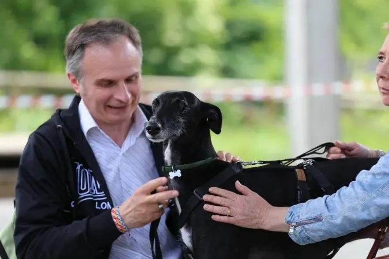 13015476 1026643597419495 1932523853191600471 n