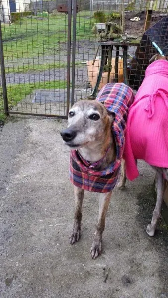 13015485 1026225427469060 9014771277436662030 n