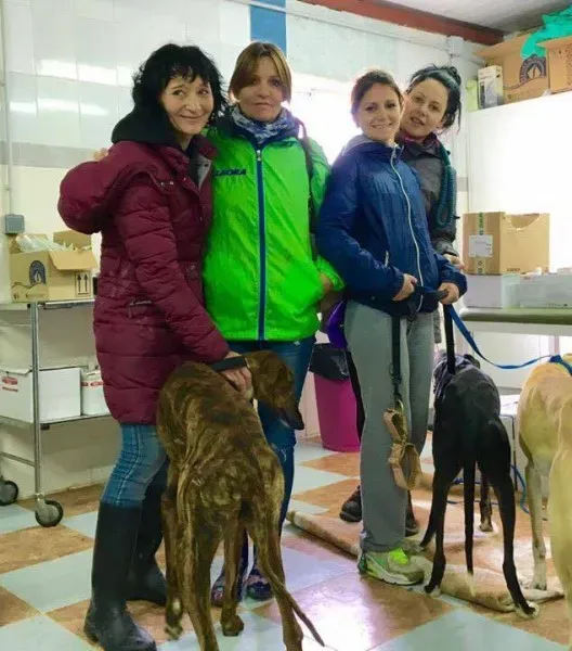 13020184 1026129030812033 2099661436 n