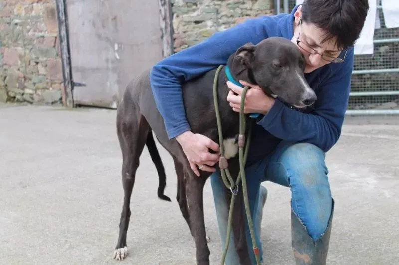 13020301 1025659910858945 836110220 n