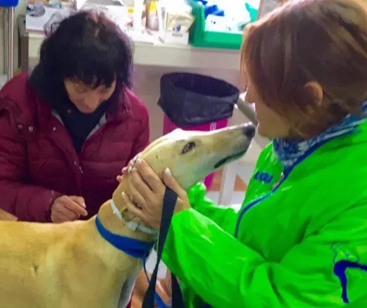 13020586 1026128964145373 403547328 n