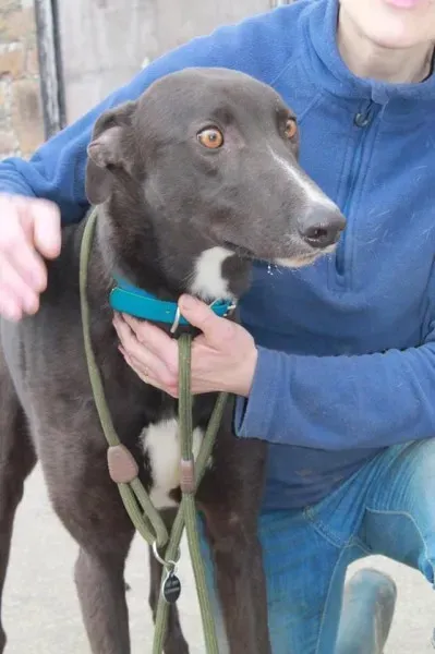 13022305 1025659867525616 400191927 n