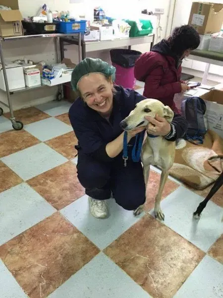 13022367 1026128994145370 2116216166 n