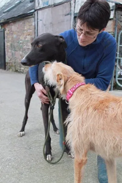 13022377 1025659767525626 1114671891 n