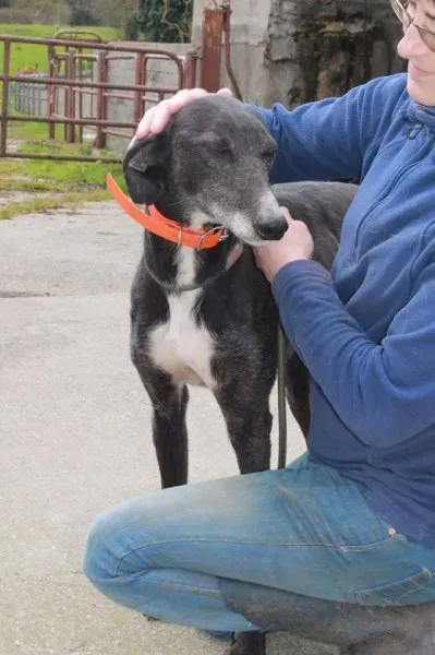 13022397 1025667447524858 399346097 n