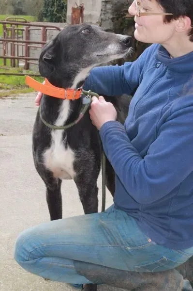 13023317 1025667370858199 1537618587 n