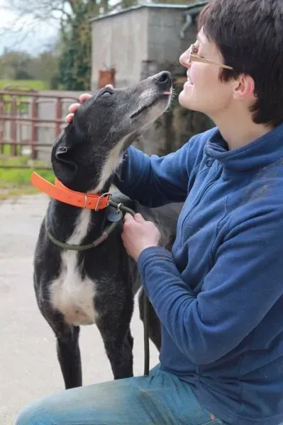 13023356 1025667730858163 2008688691 n