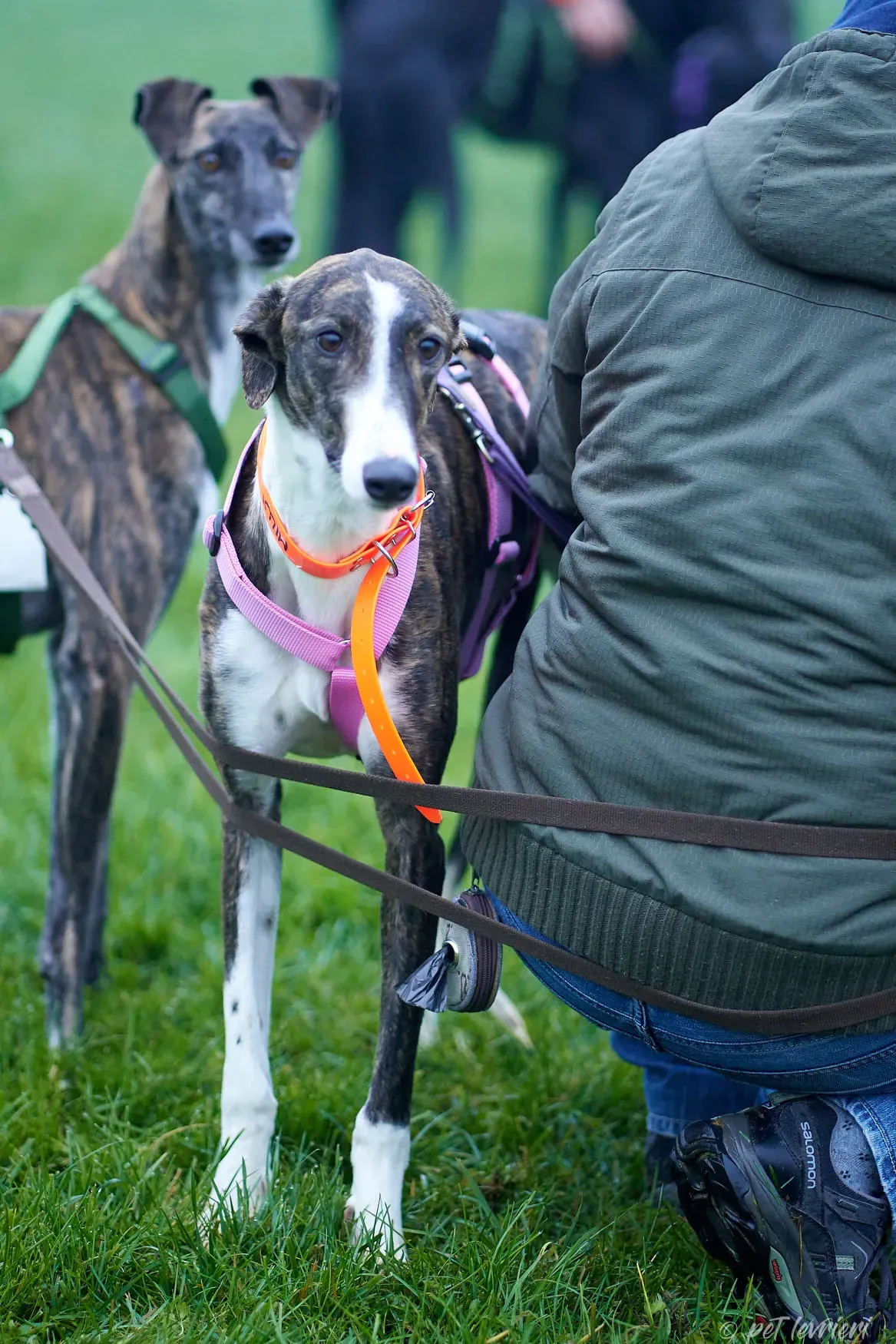 130260325 3583747045042458 2897164048452295842 o