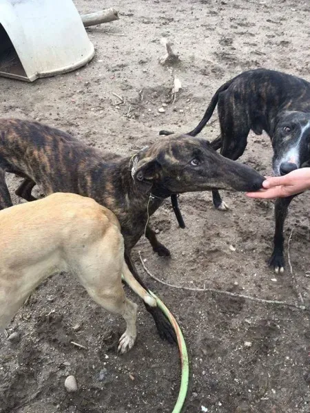 13029579 1009502105800311 933604833721143743 o