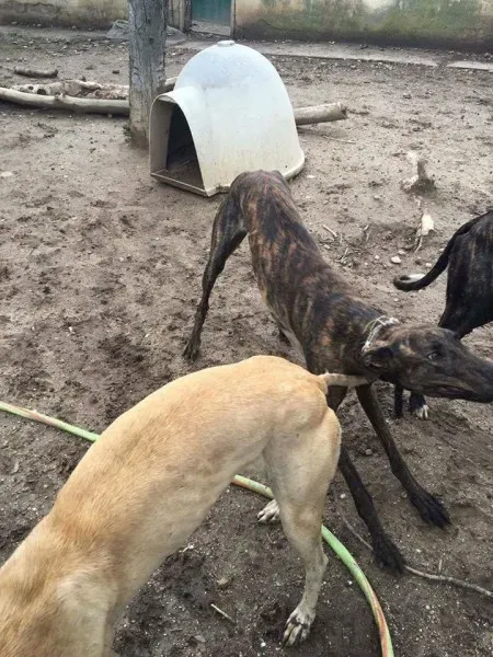 13029684 1009502119133643 1380310931851855541 o