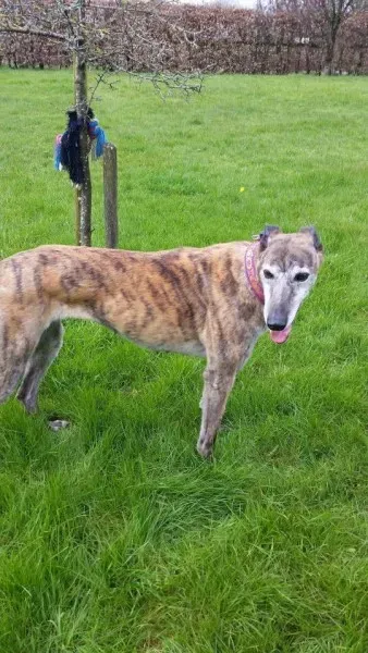 13043220 1026225614135708 3578448129571886021 n