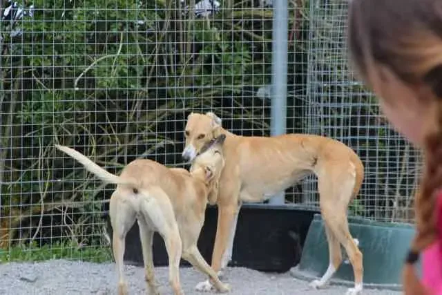 13043526 1016142675136254 1025263567446866171 n