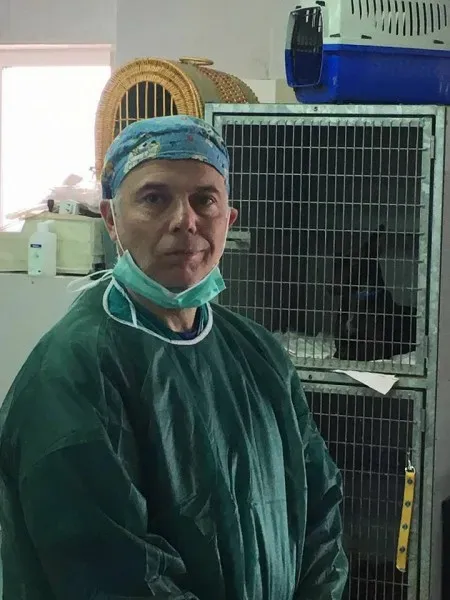 13043646 1007981302619058 6544138058178769374 n