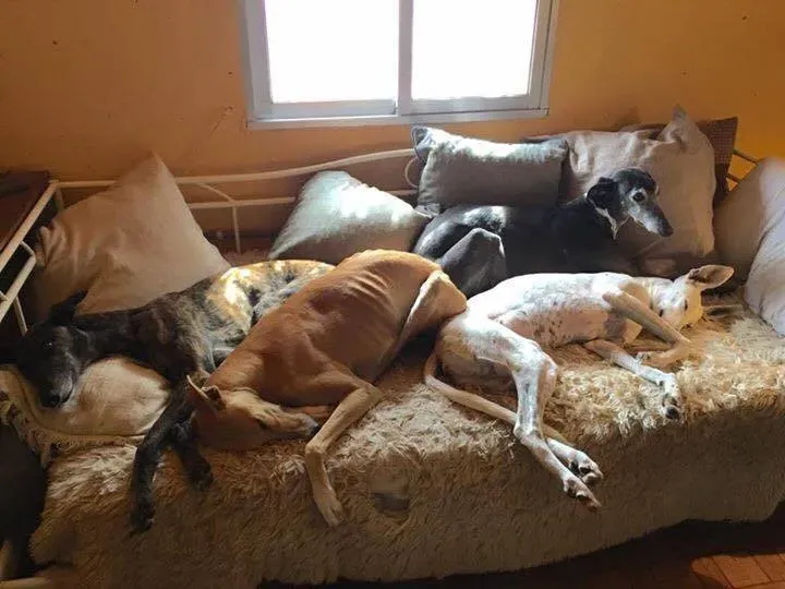 13045393 1026129054145364 2108469392 n