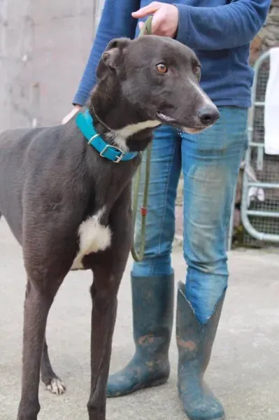 13045628 1025659860858950 1705121949 n 1