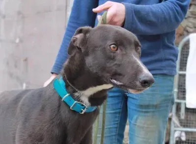 13045628 1025659860858950 1705121949 n e1460819691140