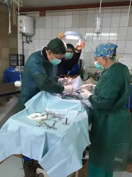 13045629 1025700717521531 1865885056 n