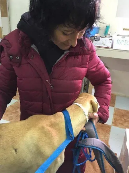 13046215 1026128967478706 1819313612 n