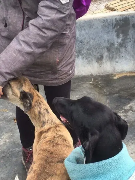 13048039 1009501185800403 3995014255785375208 o