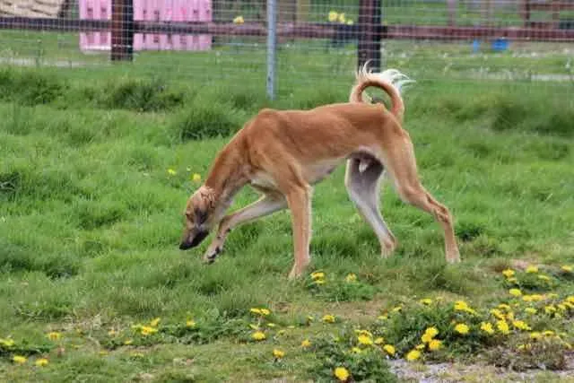 13051508 1016142215136300 6646081993427217838 n