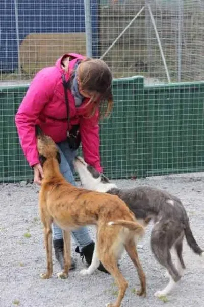 13051527 1016140901803098 8654282872409509515 n