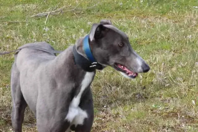 13051537 1016144931802695 8866118806330877155 n