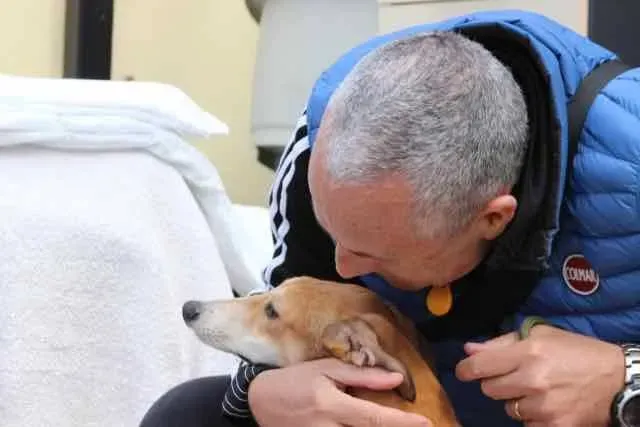 13051584 1016143151802873 7841462799111203632 n