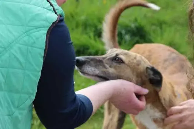 13051596 1016140341803154 716712037270699539 n