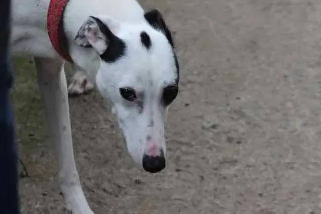 13051625 1016145425135979 5285940859020029583 n