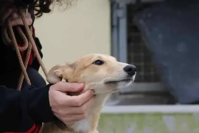 13051706 1016140081803180 8180688335931823341 n