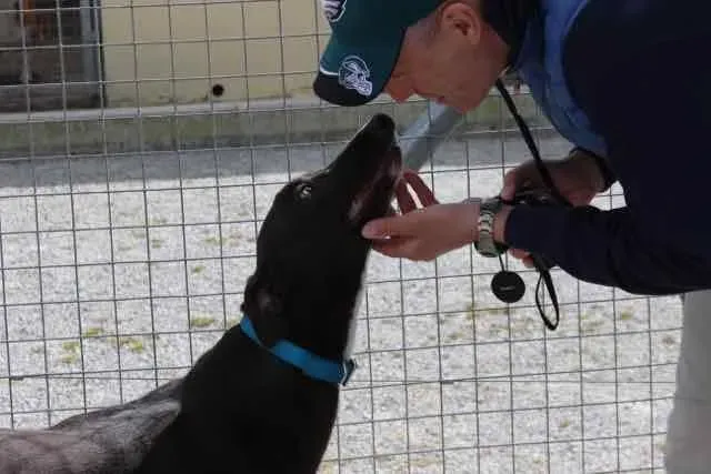 13055374 1016147165135805 2028731033941914375 n